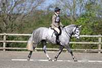 All Dressage Tests between 09:30 - 11:00am