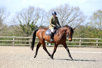 All Dressage Tests between 12:30 - 2:00pm
