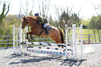All Showjumping between 11:00 - 12:30pm