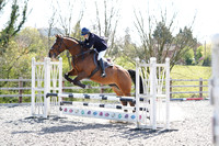 All Showjumping between 12:30 - 2:15pm