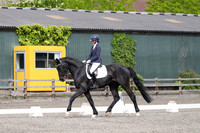All dressage tests between 11:00 - 12:00