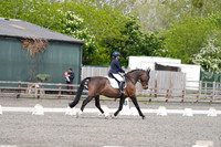 All dressage tests between 12:00 - 13:00