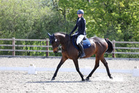 ARENA 1 - All Dressage tests between 12:00 - 13:45
