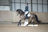 19.04.26 British Dressage, Bromyard Equestrian