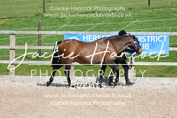 R6JH0469