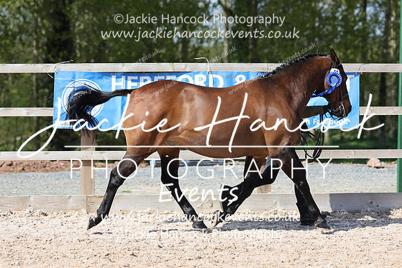 R6JH0493