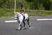 NOVICE Classes 5 & 6