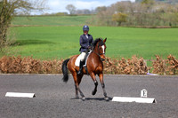 19.04.26 SSRC Dressage, Stoke Court