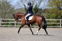All Dressage Tests between 11:00 - 12:00