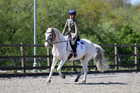 All Dressage Tests between 12:00 - 12:45