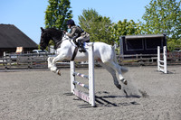 All Showjumping between 13:00 - 14:00