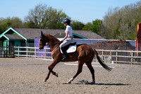 All Dressage Tests between 15:00 - 16:00