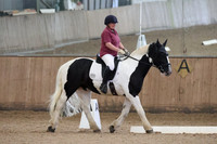 Classes 5 & 11 - NOVICE 1
