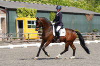 ARENA 1 - All Dressage Tests between 11:00 - 12:00