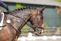 ARENA 1 - All Dressage Tests between 12:00 - 13:30