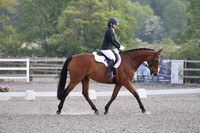 ARENA 2 - All Dressage Tests between 08:30 - 10:00