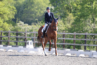 ARENA 2 - All Dressage Tests between 10:00 - 11:00