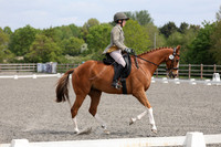ARENA 2 - All Dressage Tests between 12:00 - 13:00