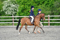 RING 1 (Classes 1 - 14)