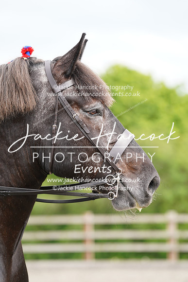 MCP06287