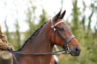 04.05.26 Showing Show, Allens Hill Competition Centre