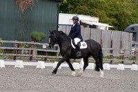 ARENA 1 - All Dressage Tests between: 12:00 - 13:30