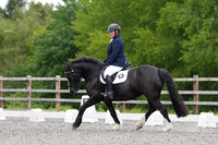 ARENA 2 - All Dressage Tests between: 10:30 - 12:00