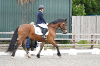 ARENA 1 - All Dressage Tests between: 10:00 - 10:30