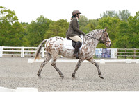 ARENA 2 - All Dressage Tests between: 10:00 - 10:30