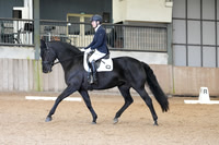 17.05.26 British Dressage, Bromyard Equestrian