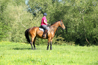 XC1_6150