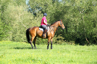 XC1_6149