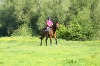 XC1_6146