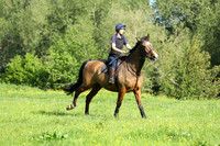XC1_6154