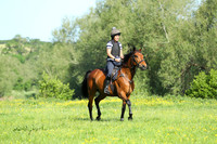 XC1_6166