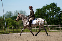 All Dressage Tests between 12:00 - 13:30