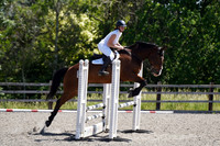 All Showjumping between 13:30 - 15:00