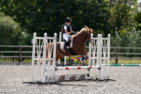 All Showjumping between 10:30 - 12:00