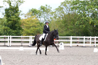 ARENA 2 - All dressage tests between 13:00 - 14:00