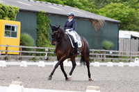 ARENA 1 - All dressage tests between  12:00 - 13:00