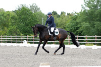 ARENA 2 - All dressage tests between 14:00 - 15:00