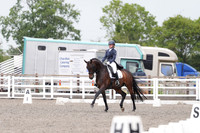 ARENA 1 - All dressage tests between 15:00 - 16:00