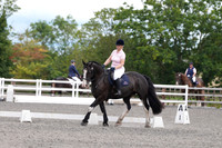 ARENA 1 - All Dressage Tests between: 11:00 - 12:00
