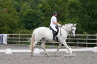 ARENA 1 - All Dressage Tests between: 15:00 - 16:00