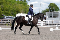 ARENA 2 - All Dressage Tests between: 12:00 - 13:00