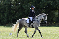 ARENA 1 - All dressage tests between 10:30 - 11:30