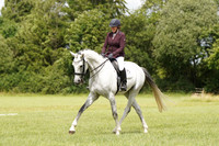 ARENA 5 - All dressage tests between 14:00 - 14:15