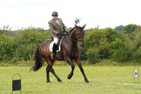 ARENA 4 - All dressage tests between 12:30 - 13:41