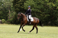 ARENA 1 - All dressage tests between 11:30 - 12:30