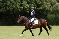 ARENA 2 - All dressage tests between 11:00 - 12:00